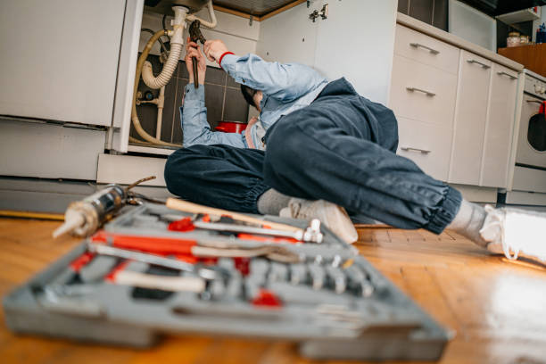 Best Local Plumber Services  in River Park, FL